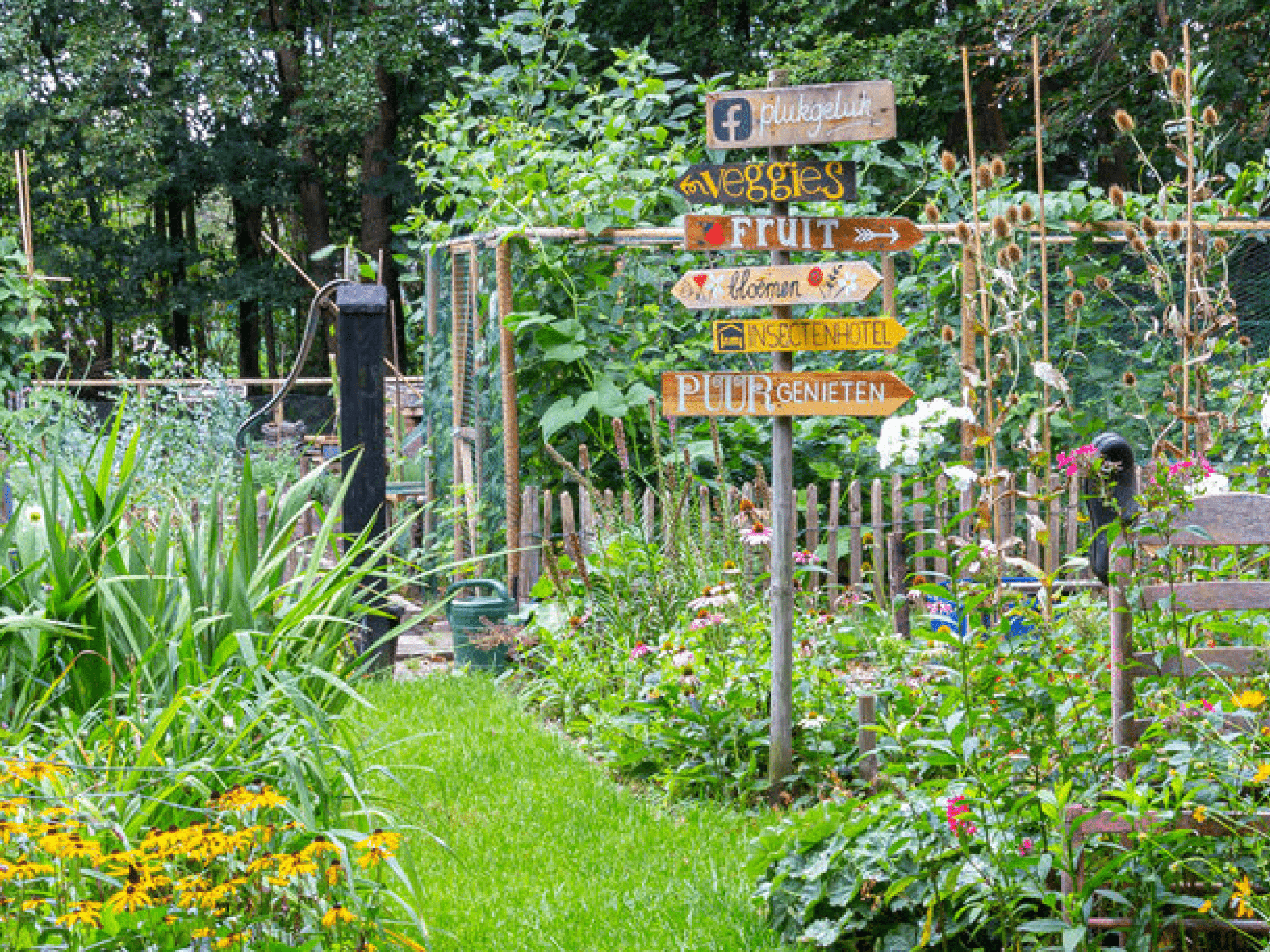 Community Garden Week 2022