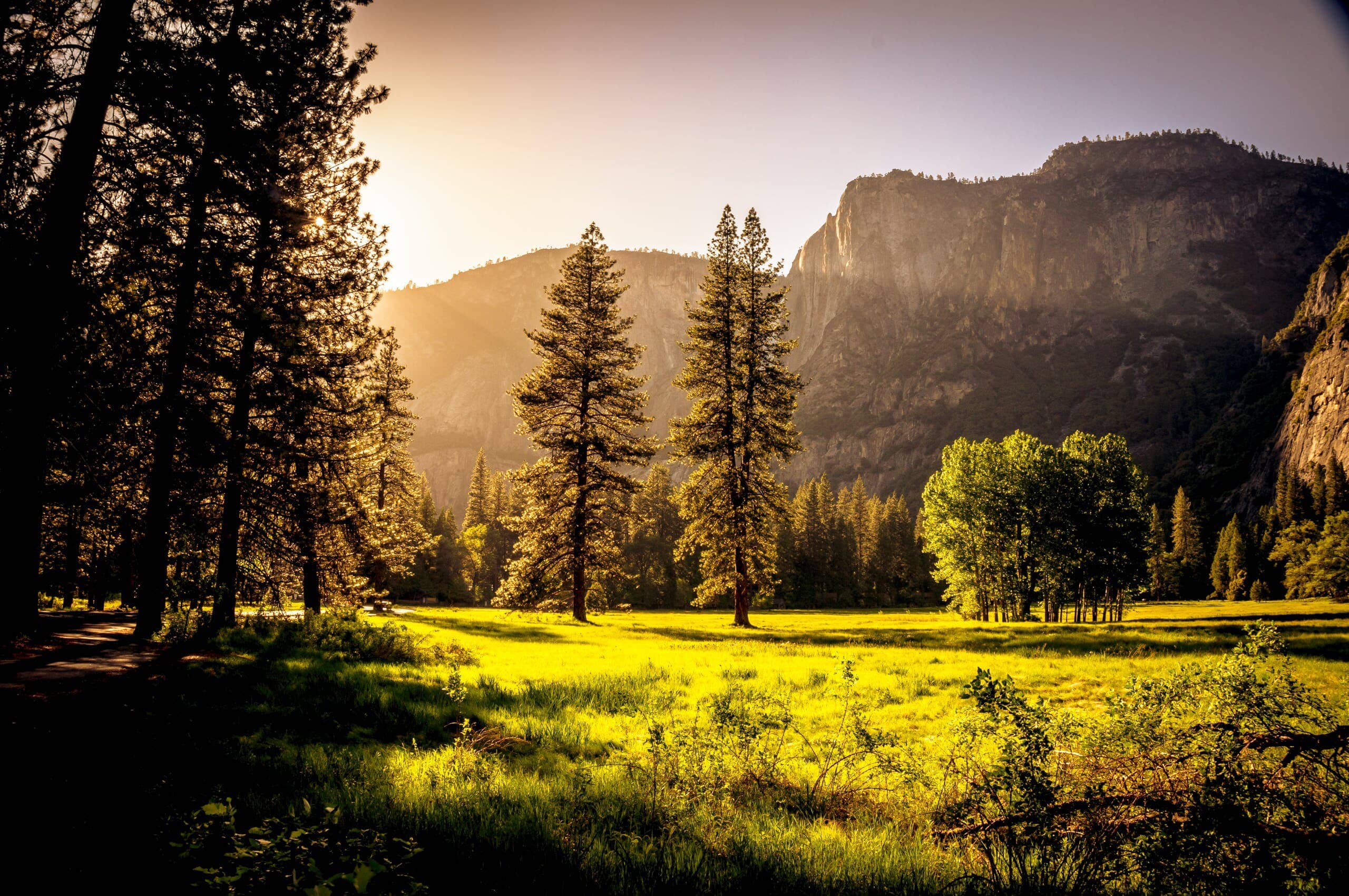 Resonating Sustainability